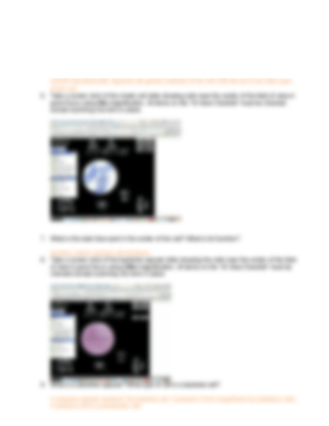 Cells Lab.doc_d7jq5qo4n72_page2