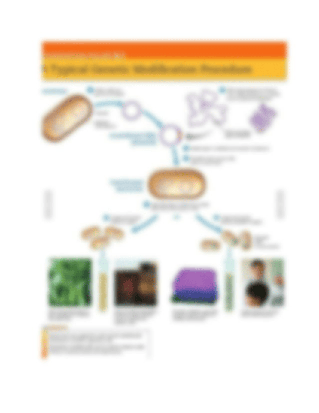 8: Biotechnology_d7jscp869qq_page2