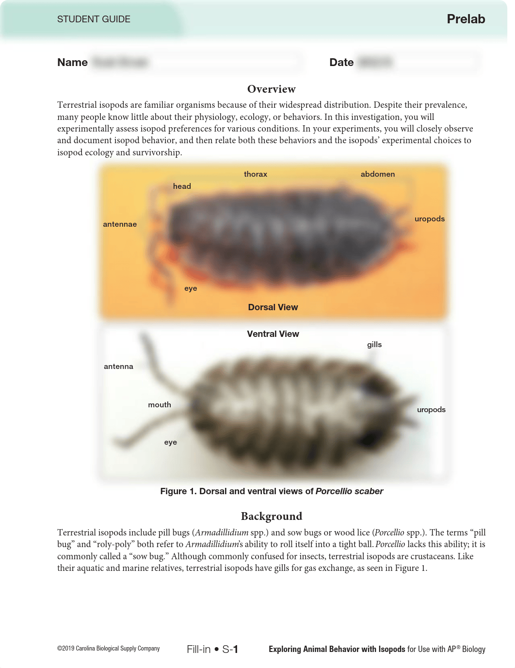 747750_Exploring_Animal_Behavior_with_Isopods_FAS.pdf_d7k8ggyfo8m_page2