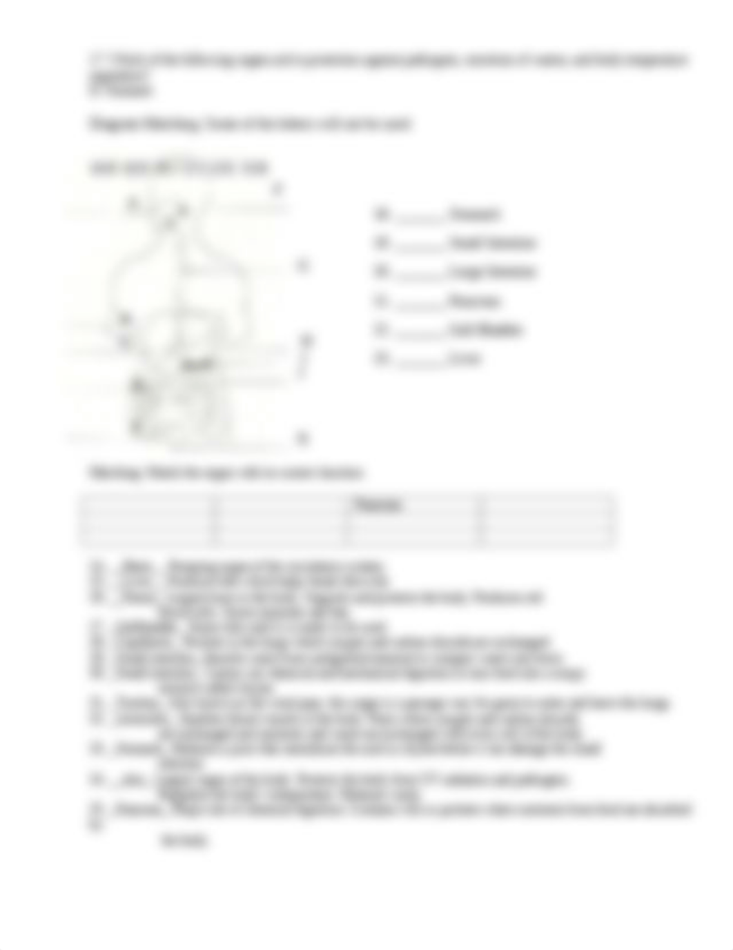 human_body_systems_d7k8xrw2h3h_page3