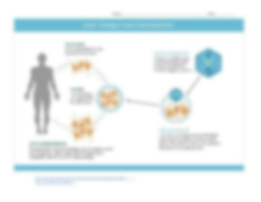 A&P (Article) Gene Therapy for the "Butterfly Children" Chapter 5 (1).docx_d7kl49w9ik5_page2