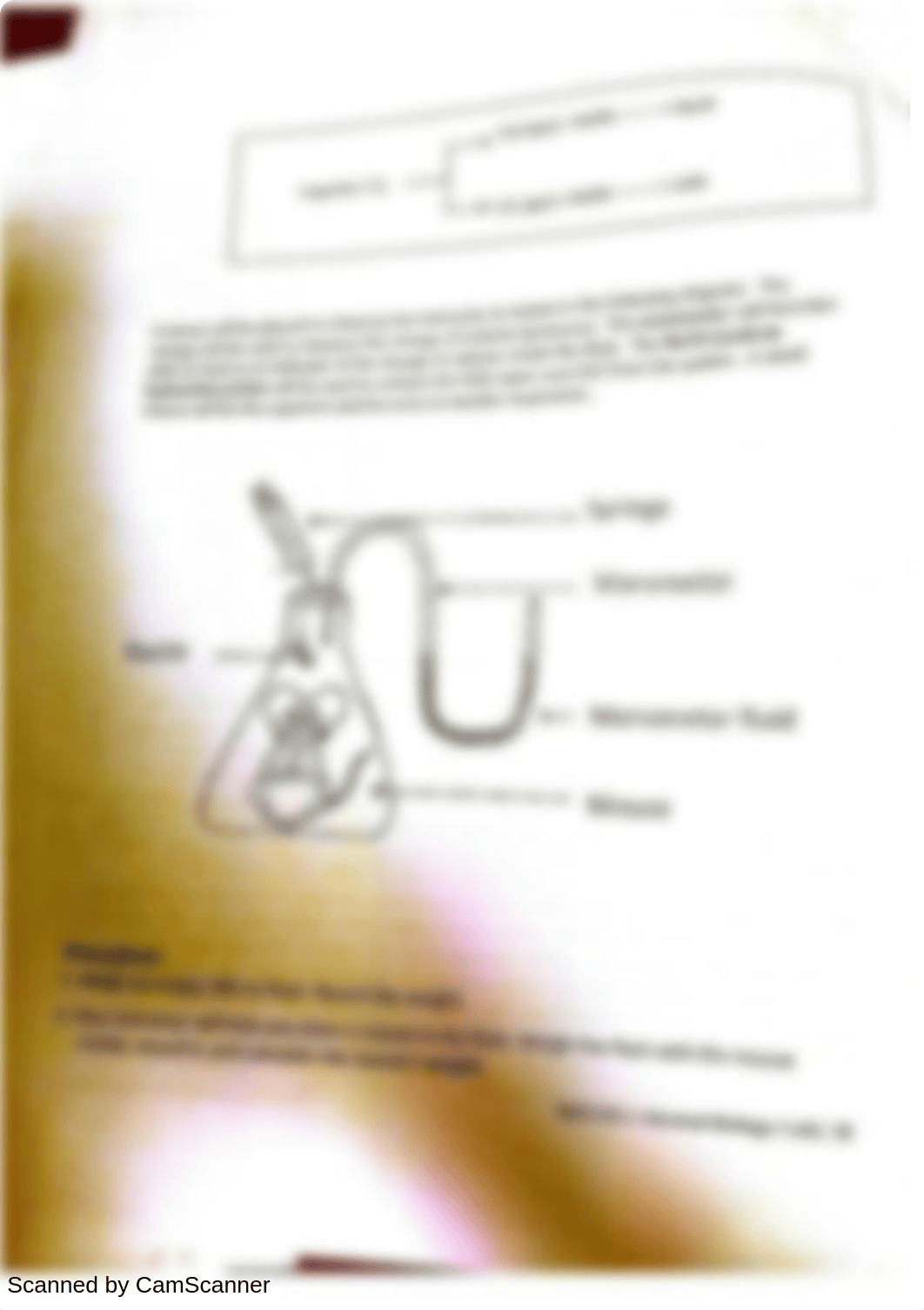 Cellular Respiration Lab_d7kn1kf9xrs_page4