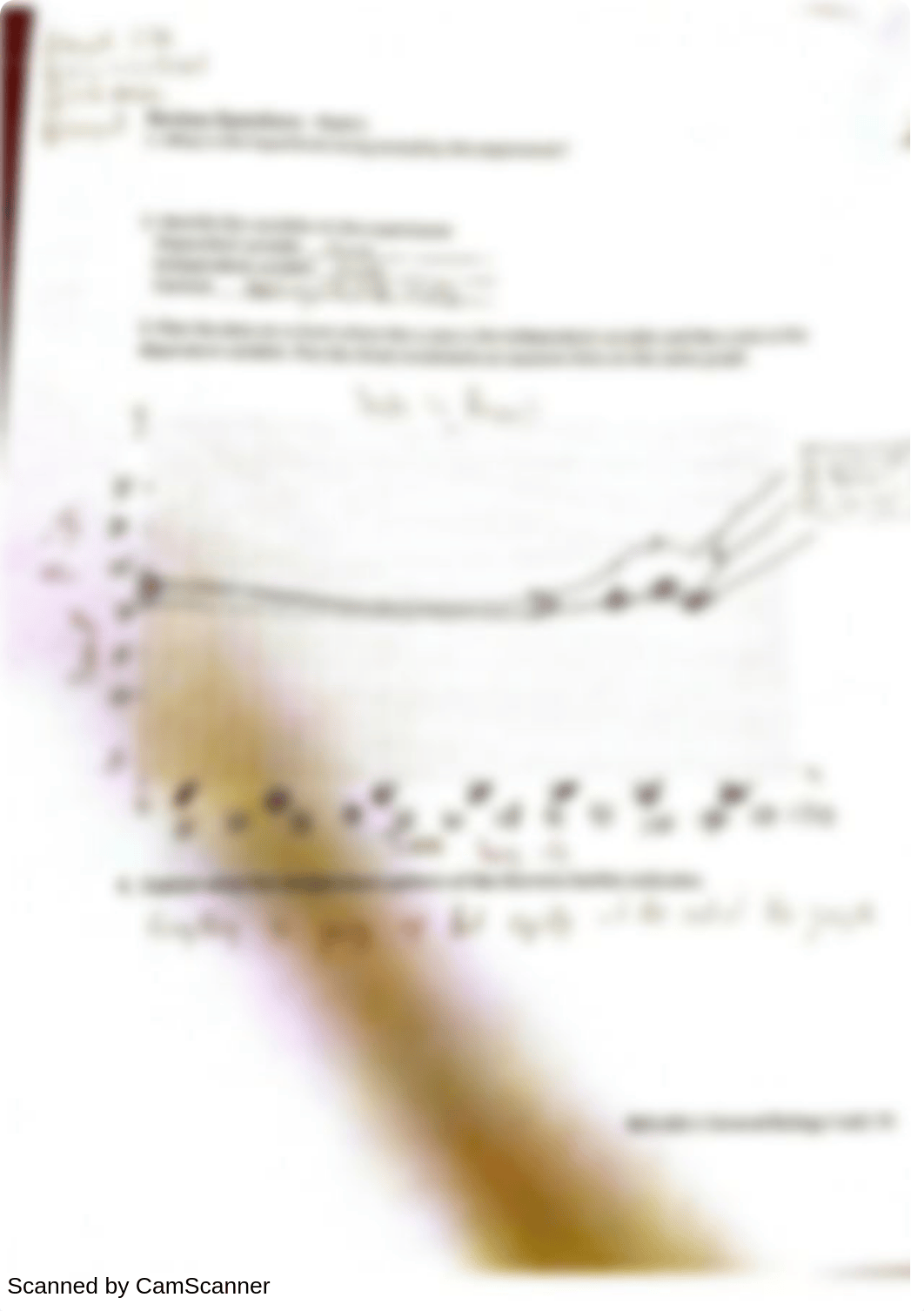 Cellular Respiration Lab_d7kn1kf9xrs_page2