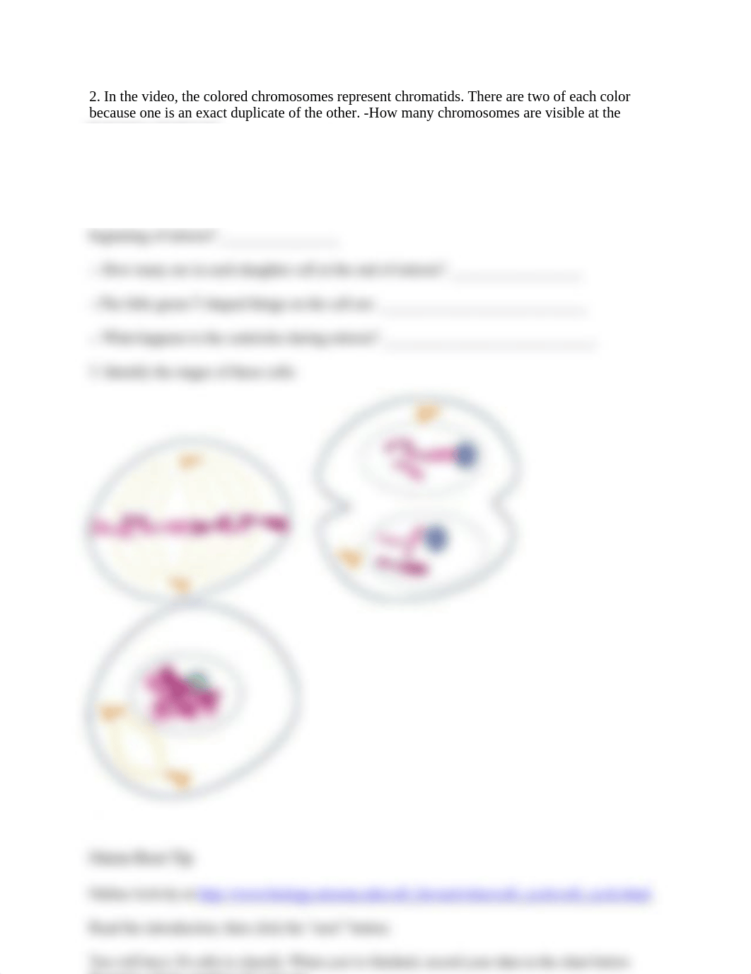 Lab 10 Worksheet (1).docx_d7kn68i1exe_page2