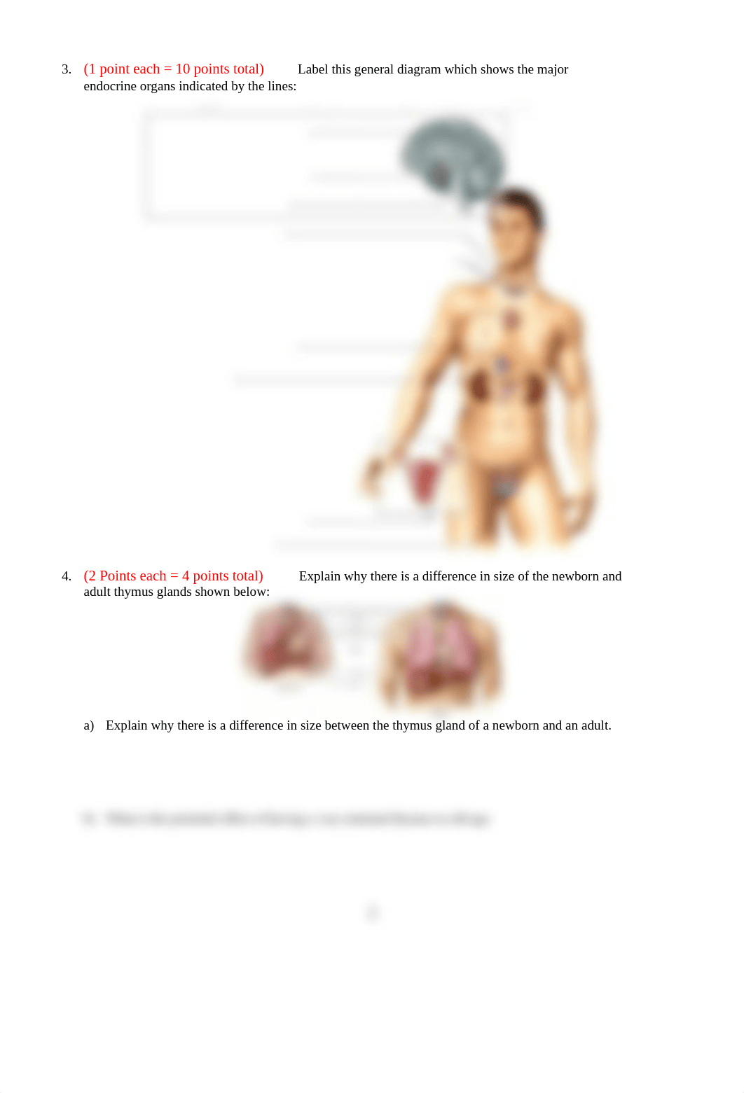 Lab 4 Ex 23 Endocrine 9ed REMOTE S21.doc_d7ko4u2wggc_page2