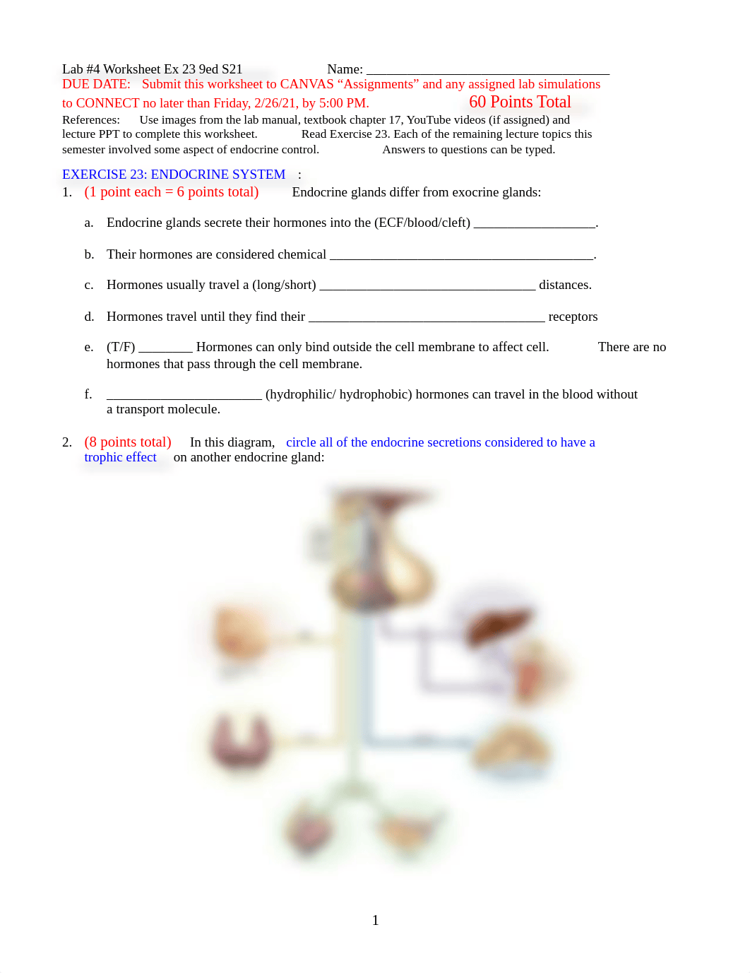 Lab 4 Ex 23 Endocrine 9ed REMOTE S21.doc_d7ko4u2wggc_page1