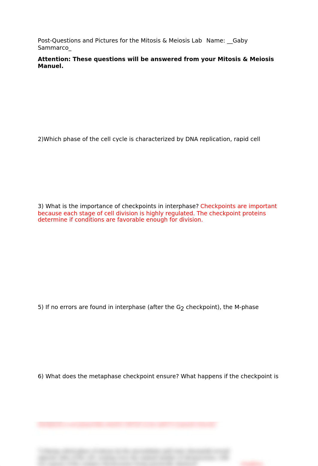 Mitosis Meiosis-Post lab questions and Photos.docx_d7kqx8uqodu_page1