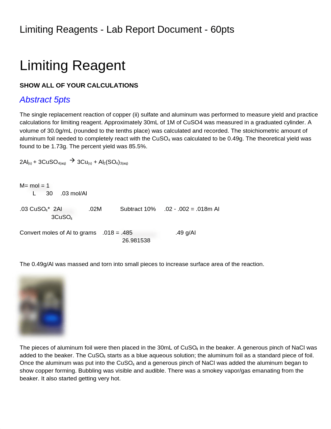 Lab Report Document - Limiting Reagents.docx_d7krue4w0qx_page1