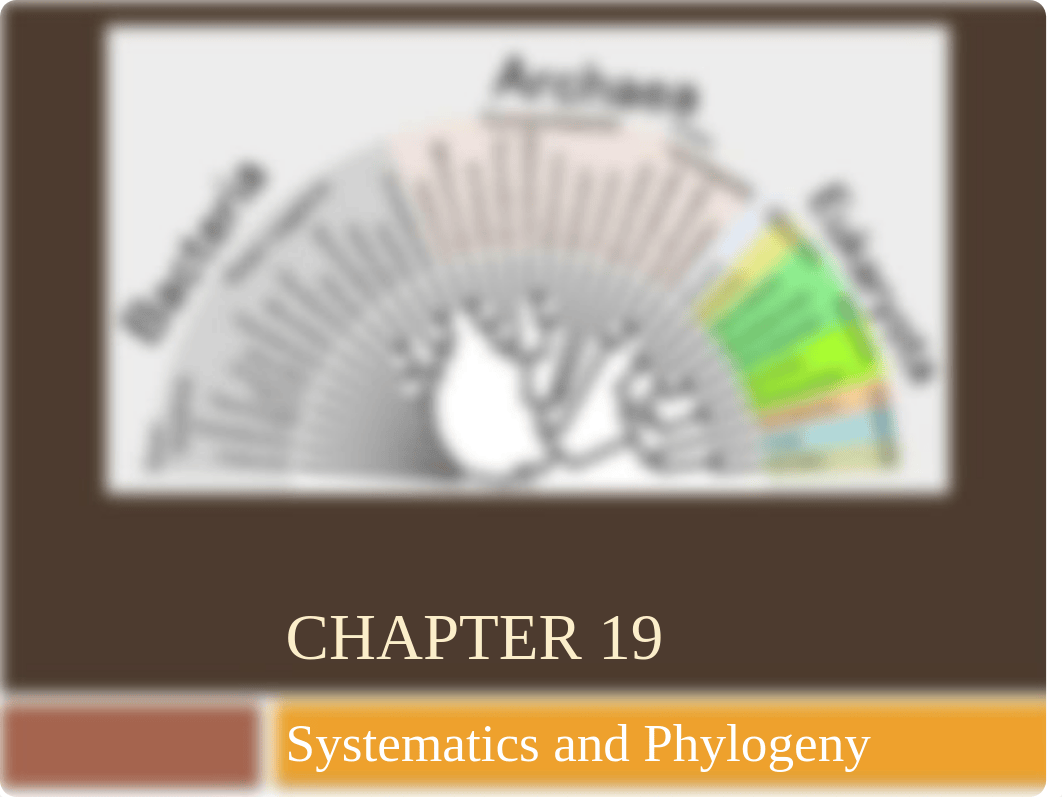 Chapter 19 - Systematics and Phylogeny(1).pptx_d7l0o0dgk6y_page1