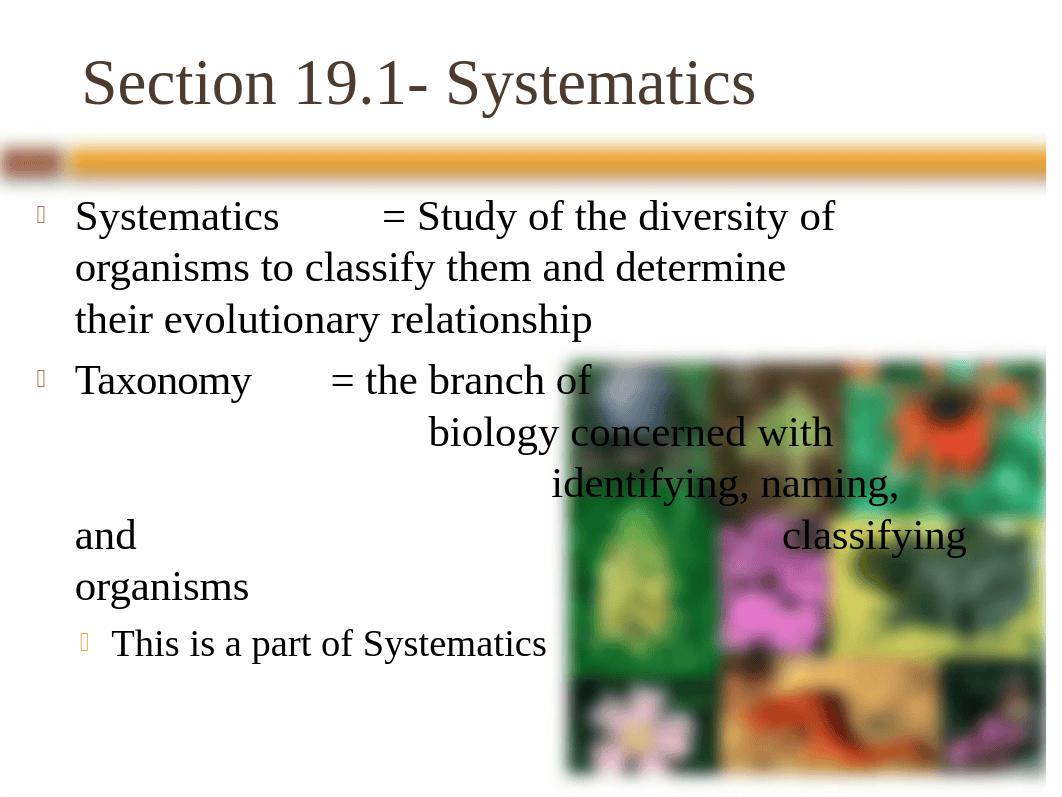 Chapter 19 - Systematics and Phylogeny(1).pptx_d7l0o0dgk6y_page3