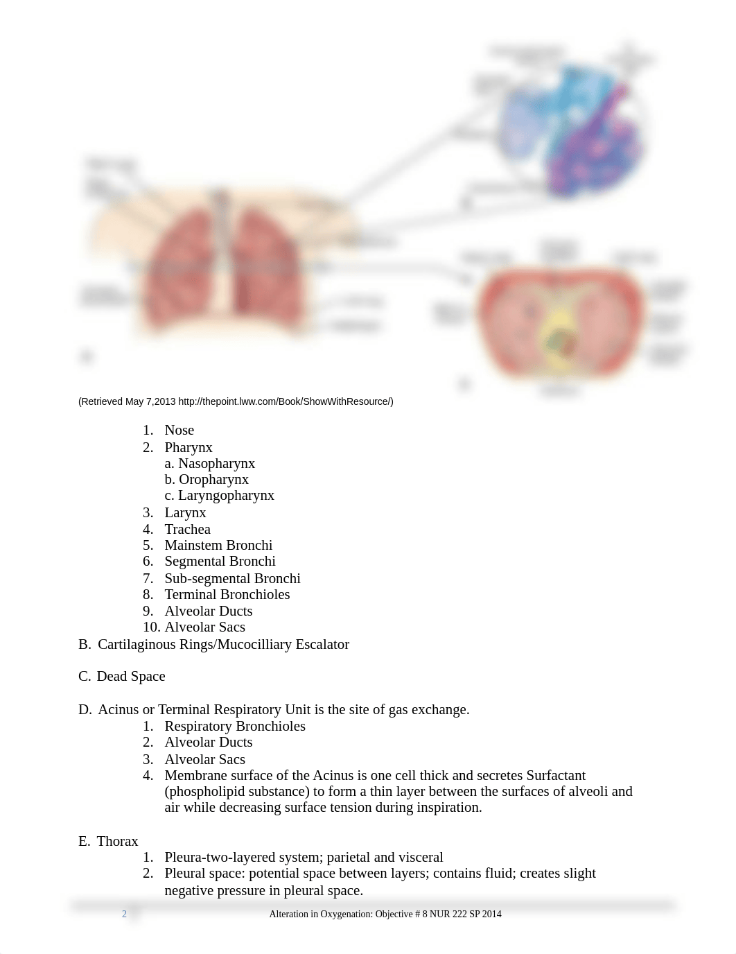 Competency__8_Oxygenation_SP_2014 (1).pdf_d7l59ewjuqi_page2