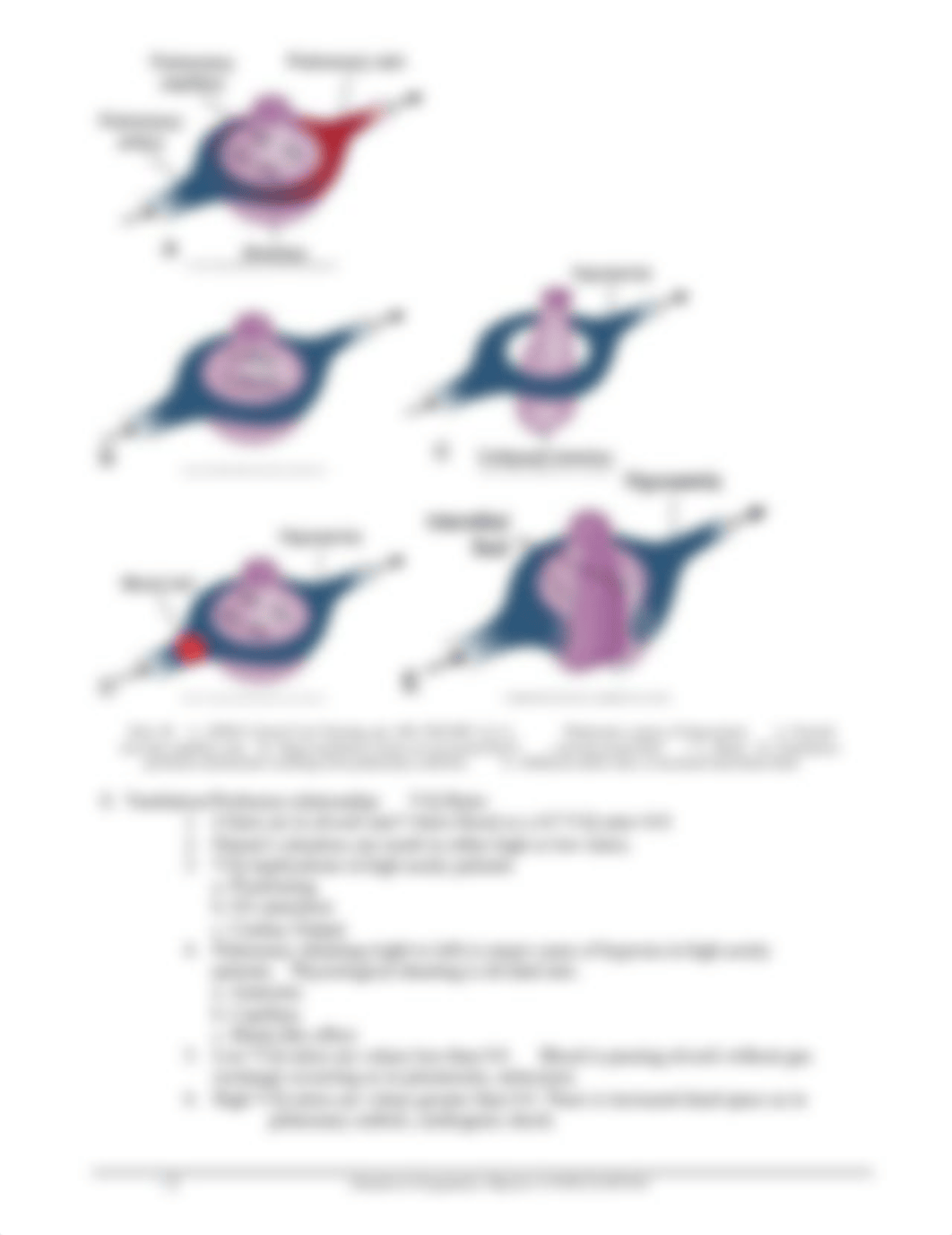 Competency__8_Oxygenation_SP_2014 (1).pdf_d7l59ewjuqi_page4