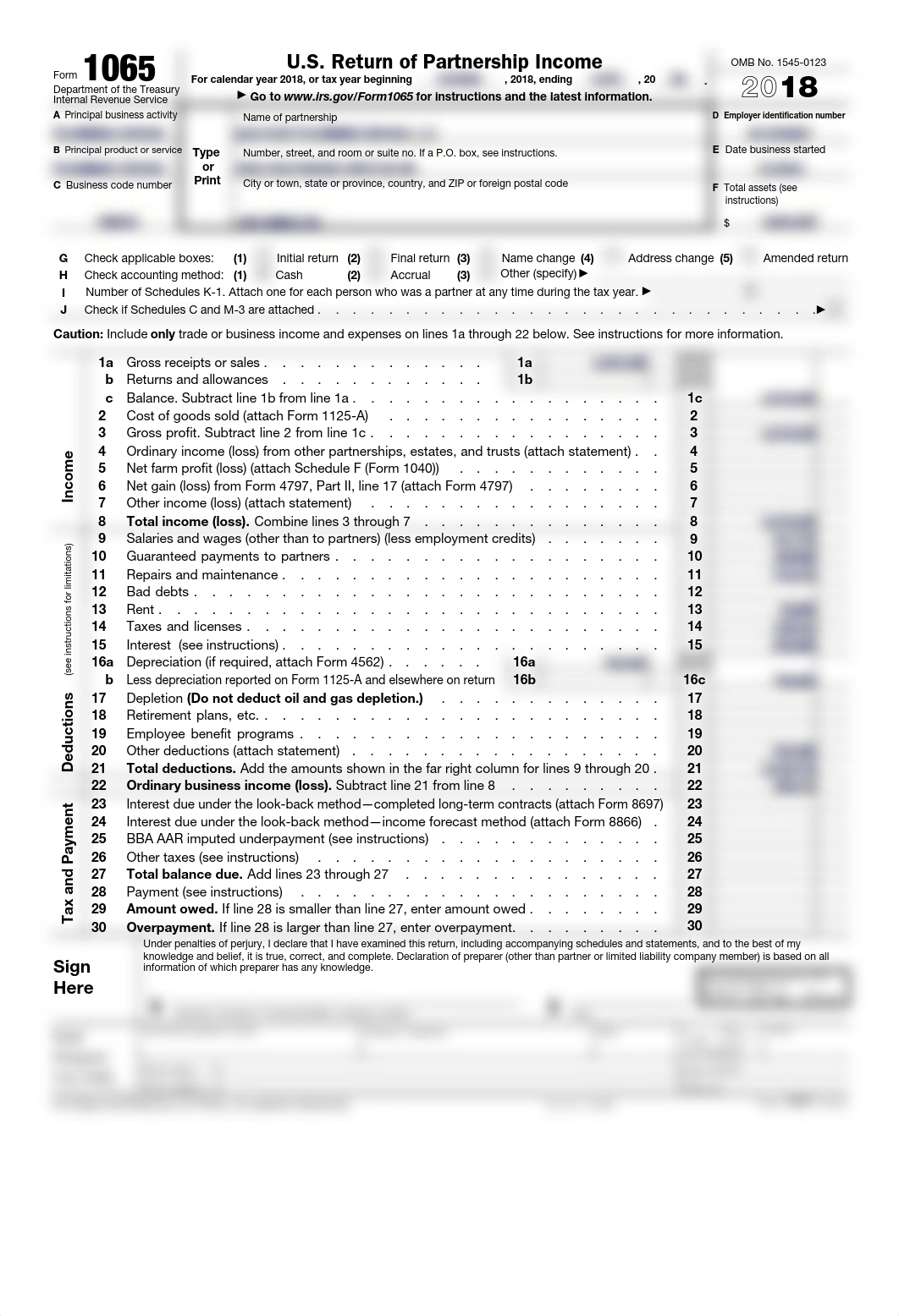 Form 1065.pdf_d7l8j27rgn2_page1