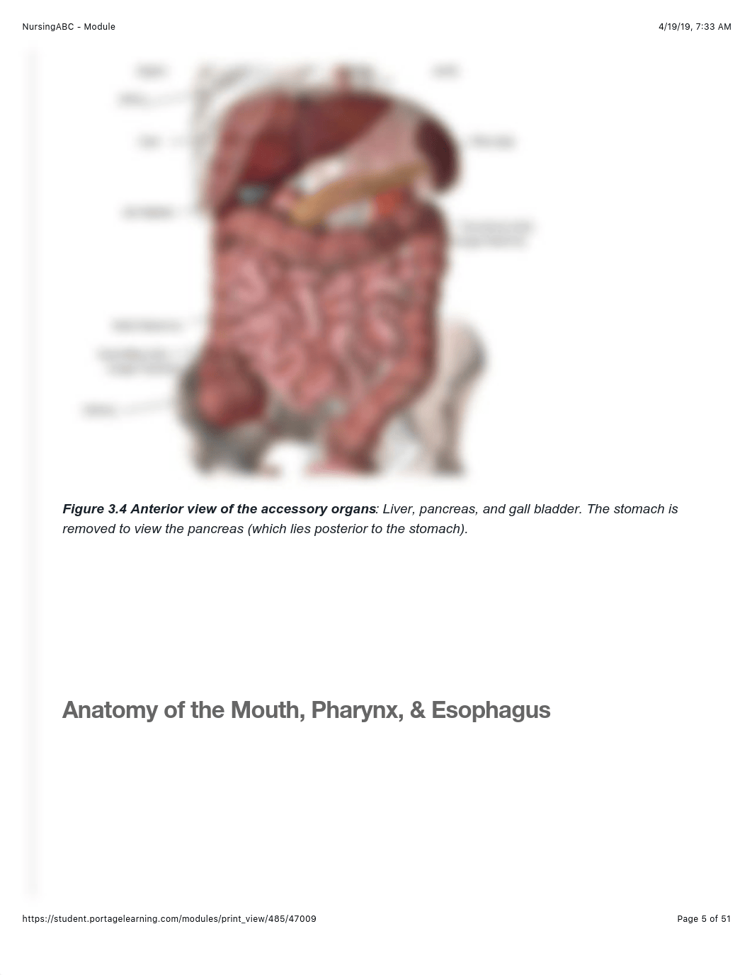 A&P I Module 3.pdf_d7lmfum6kpe_page5