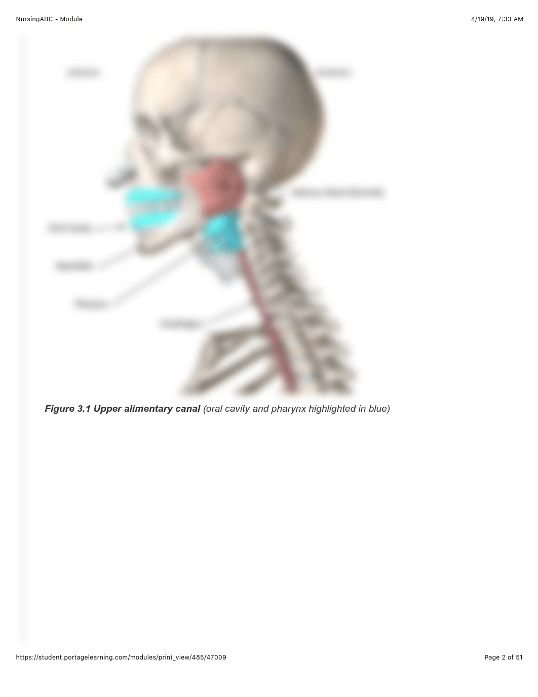 A&P I Module 3.pdf_d7lmfum6kpe_page2