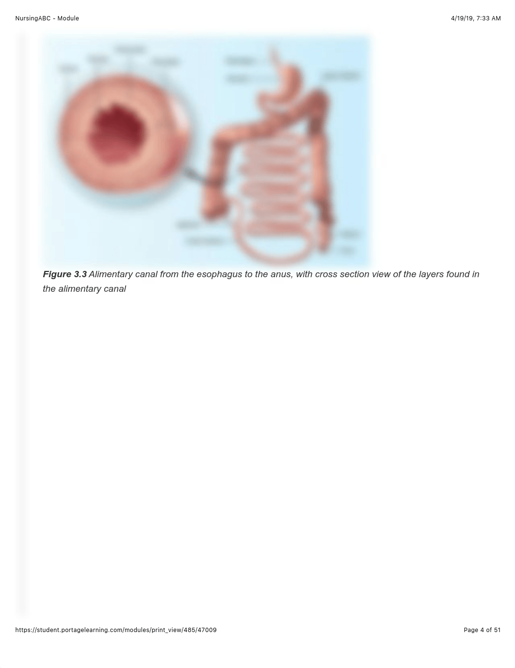 A&P I Module 3.pdf_d7lmfum6kpe_page4