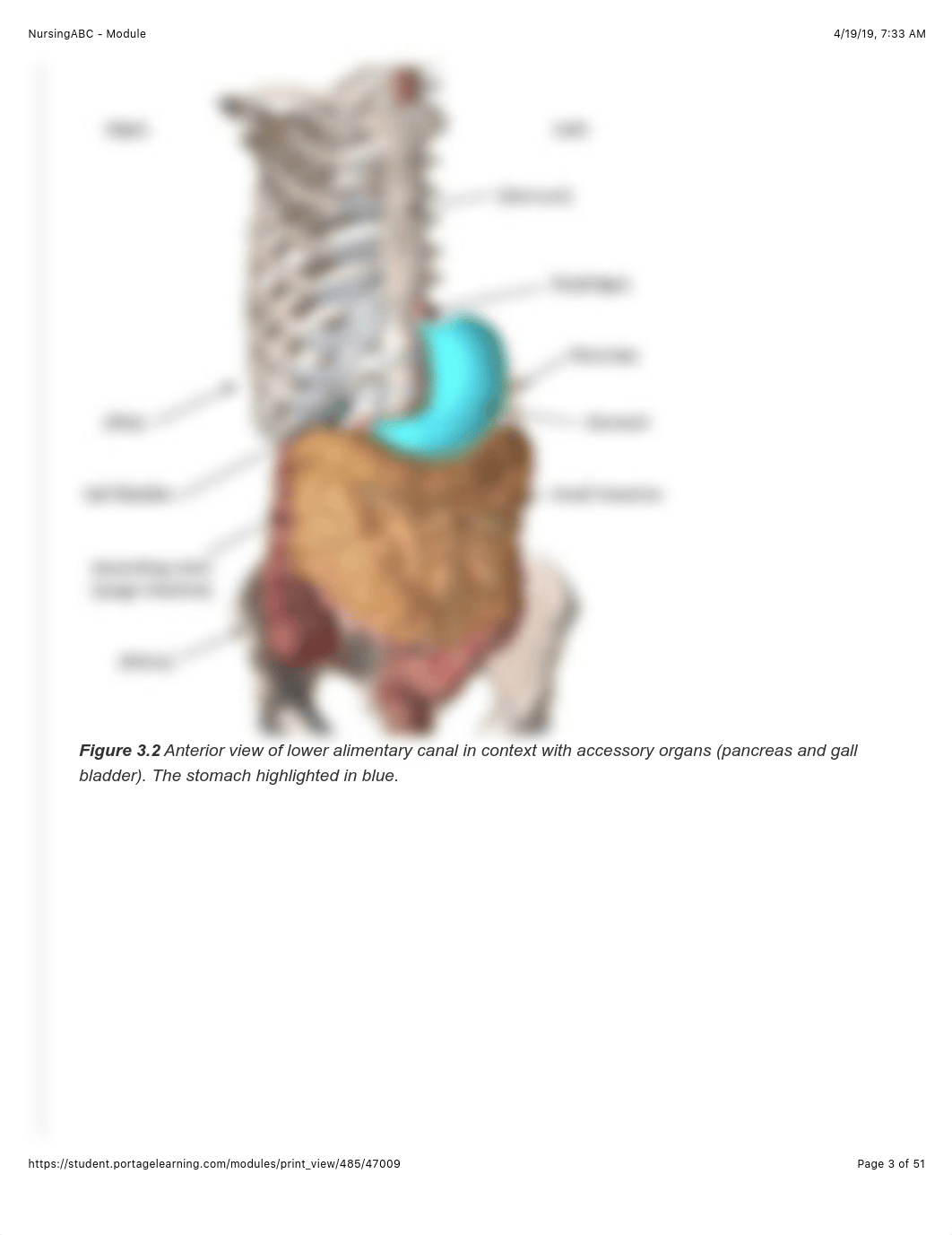 A&P I Module 3.pdf_d7lmfum6kpe_page3