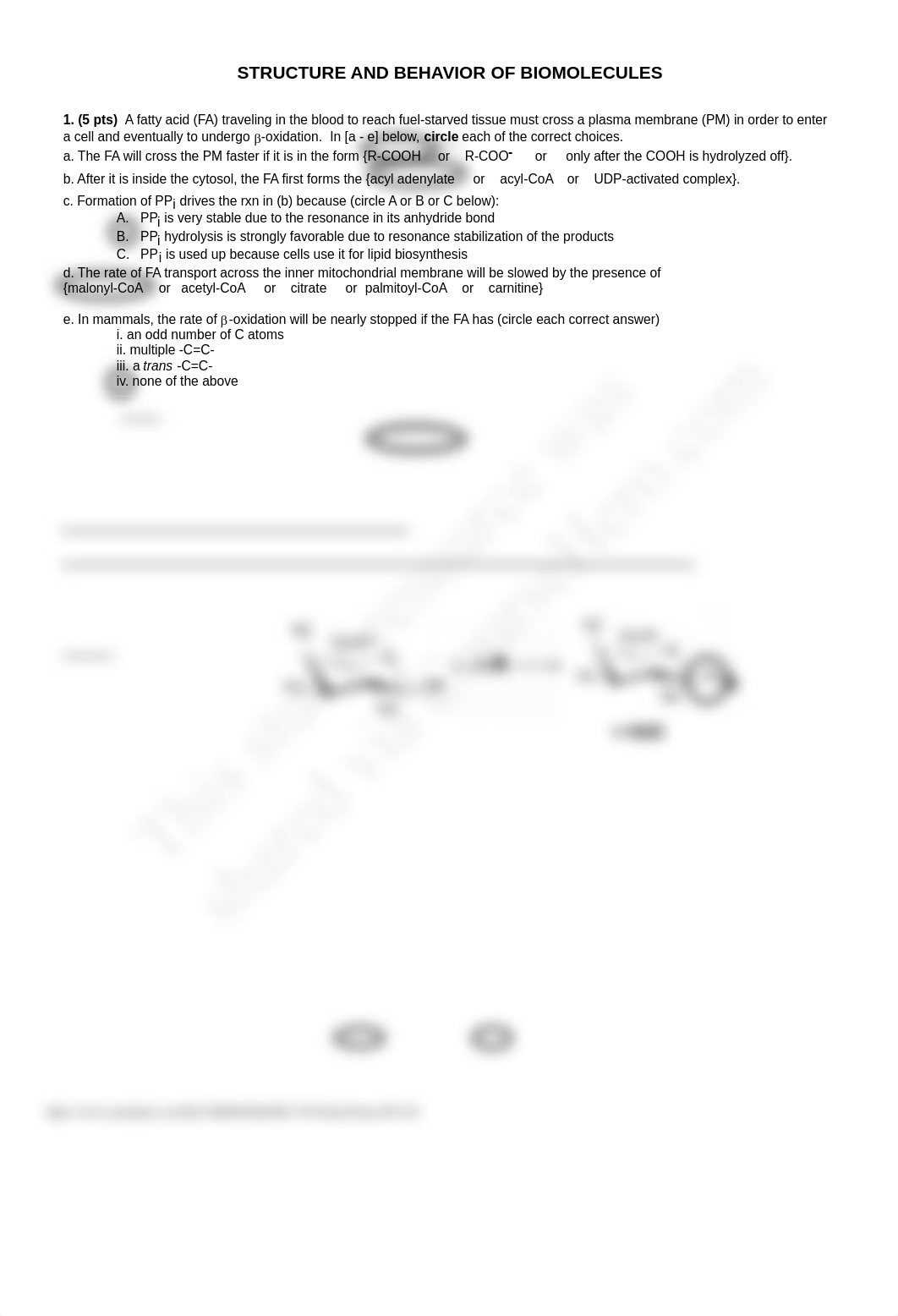 BioMG 3310 Final Exam 2013 K_d7ln04va7lu_page2