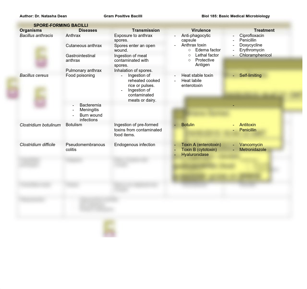 Bacillus Chart_d7lppzhlm9g_page1