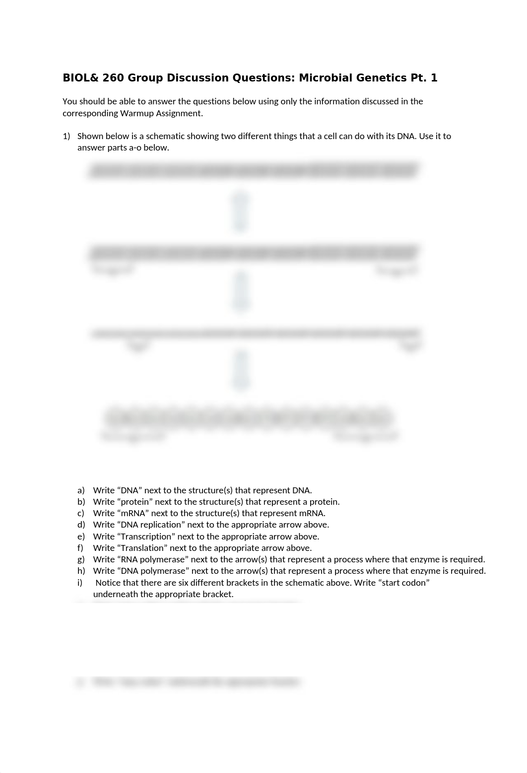 Group Discussion Questions - Microbial Genetics Pt. 1.docx_d7lpvewkbnt_page1