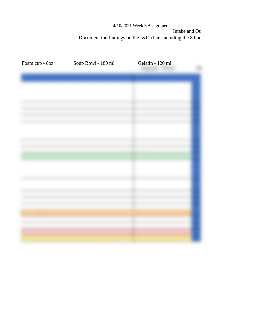 Intake and Output Assignment 04102021.xlsx_d7lxd1vzqrq_page1