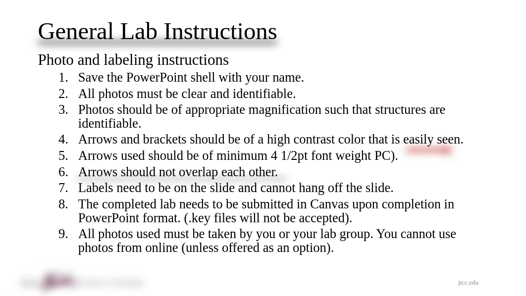 Tissues Lab Exercise (2).pdf_d7mcgsd9yxo_page4