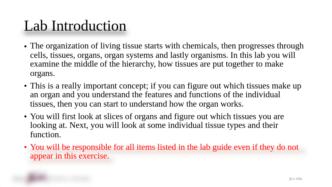 Tissues Lab Exercise (2).pdf_d7mcgsd9yxo_page2