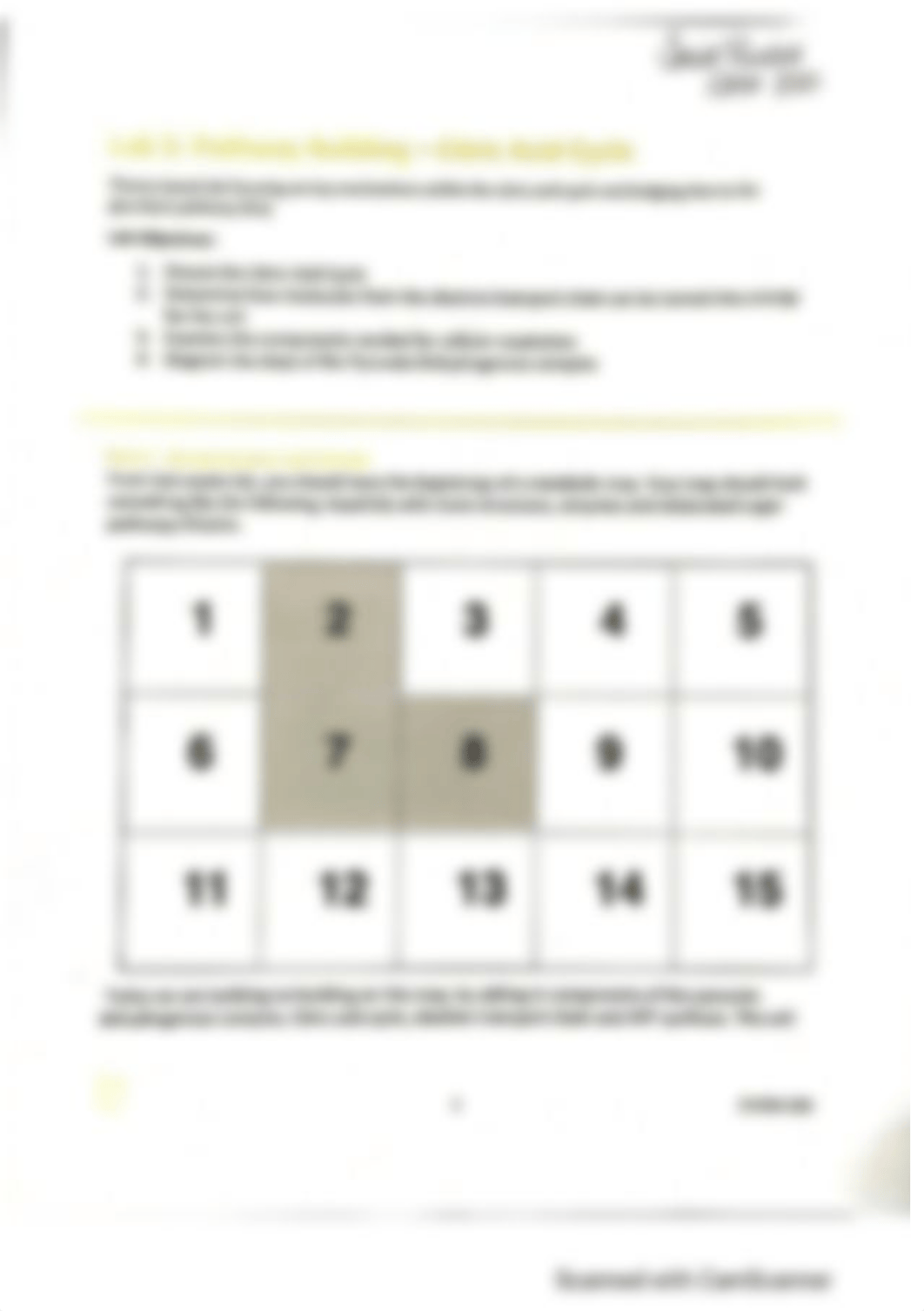 Lab 5 - Pathway building -Citric Acid Cy (1).pdf_d7migc3wi6b_page1