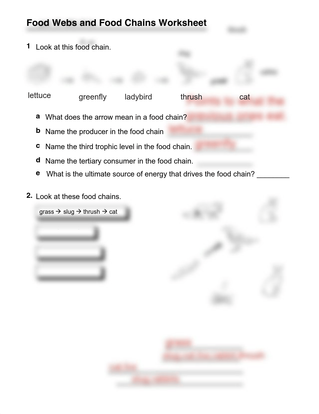 Food Webs and Food Chains Worksheet.pdf_d7mohs1n9nv_page1