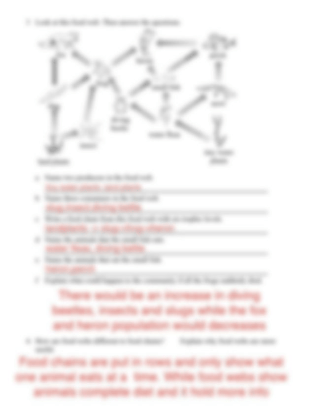 Food Webs and Food Chains Worksheet.pdf_d7mohs1n9nv_page2