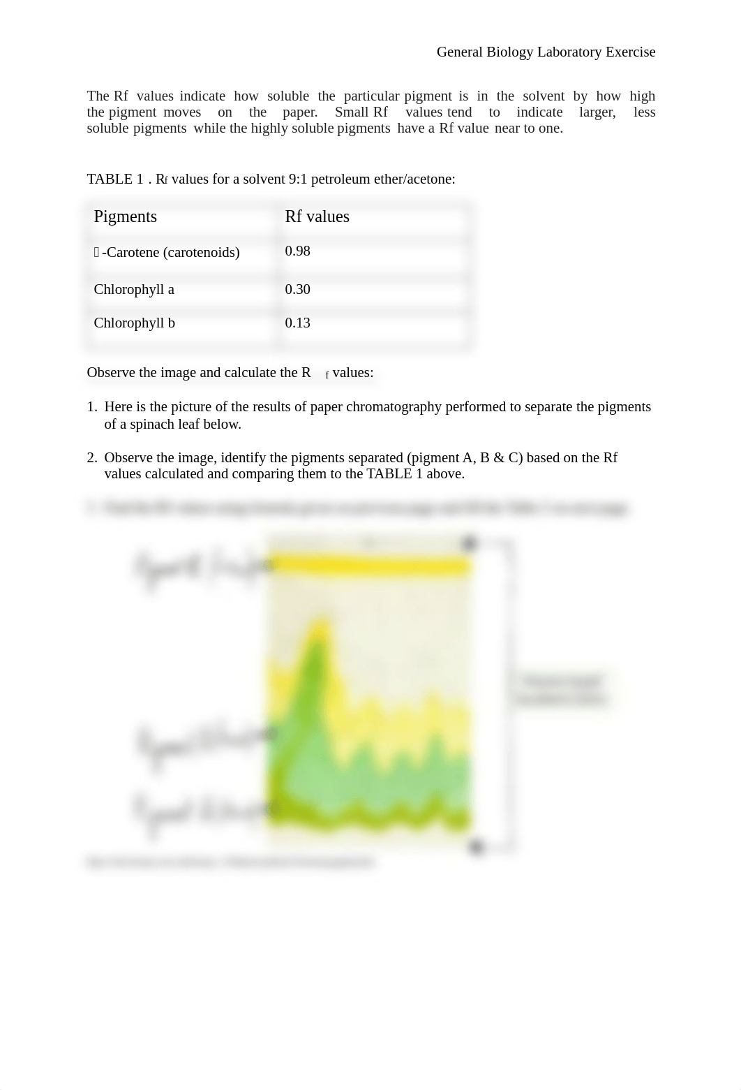 Lab 6 Report.pdf_d7mzj1qrkhf_page3