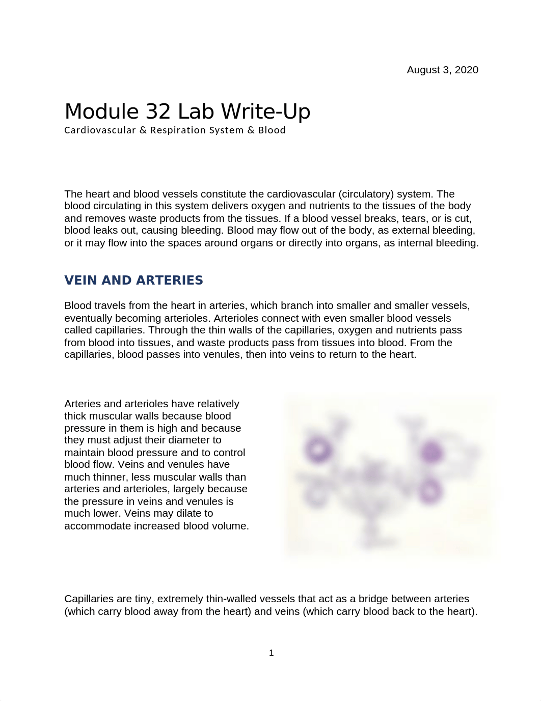 Module 32 Lab Write-Up.docx_d7n1ppbs66j_page1