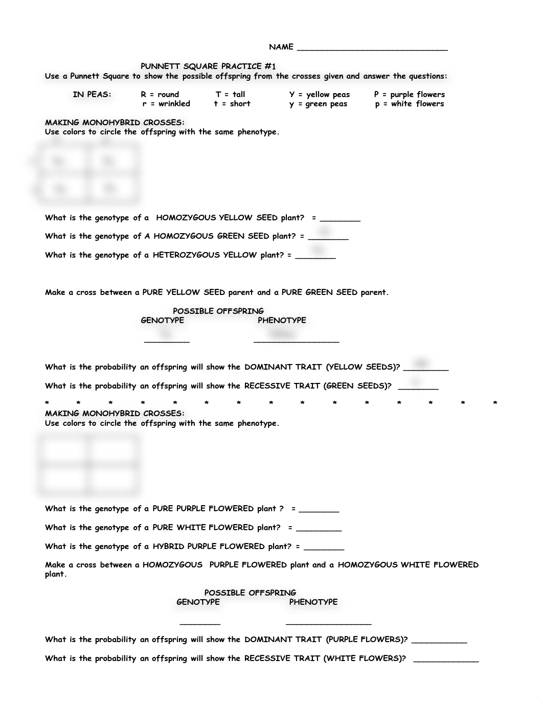 Carter_Kasson_-_07a_Punnet_Square_Practice_.pdf_d7n4jsnws1j_page1