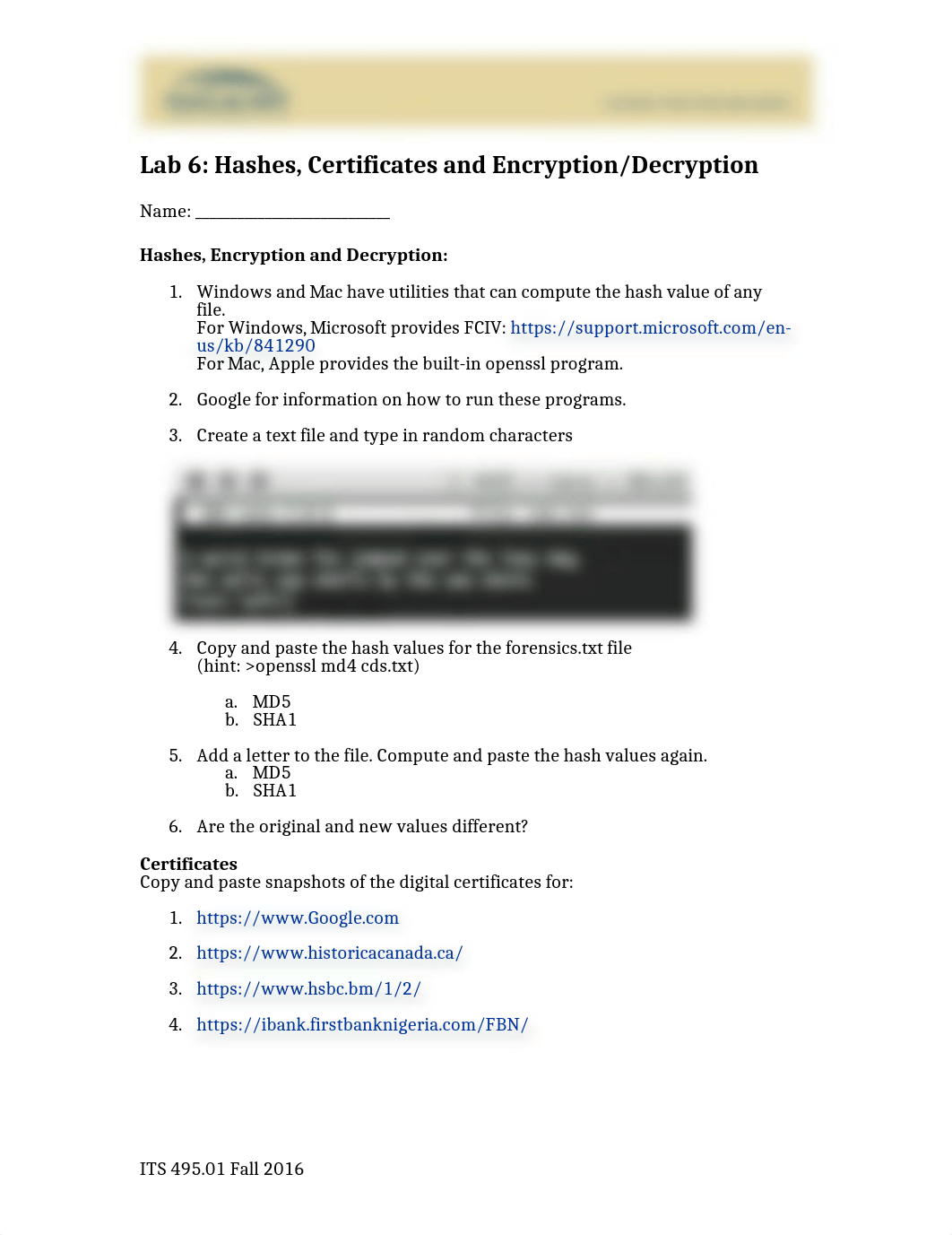 Lab 6 Hashes Cryption Certificates_d7nias7hish_page1