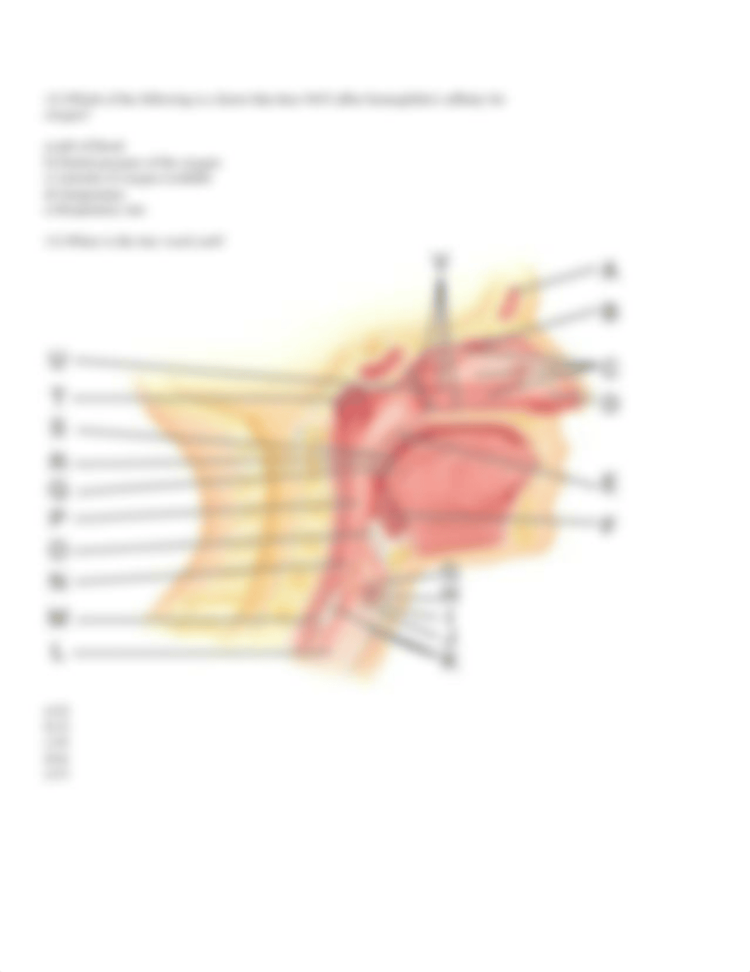 HW #3  Spring Semester.docx_d7ntpti1zs6_page3