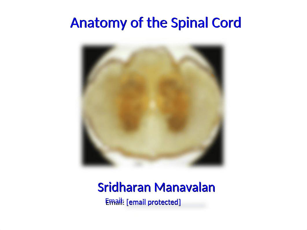 4 Anatomy of the spinal cord - Summer 2018.pptx_d7nyk58tyow_page1