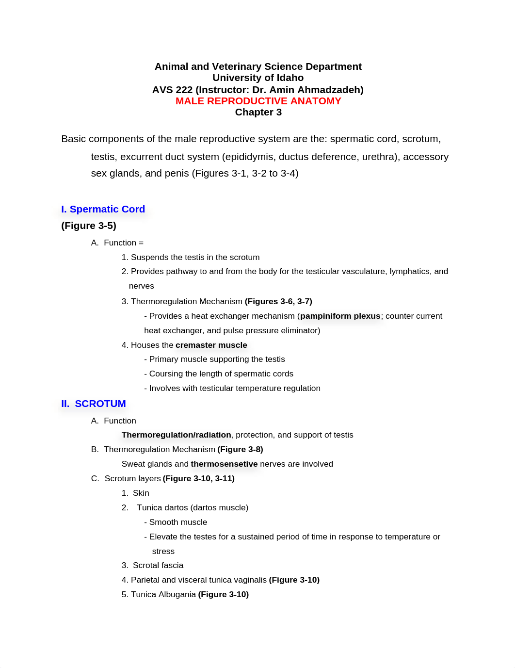 MALE REPRODUCTIVE ANATOMY_d7o5j7c241e_page1