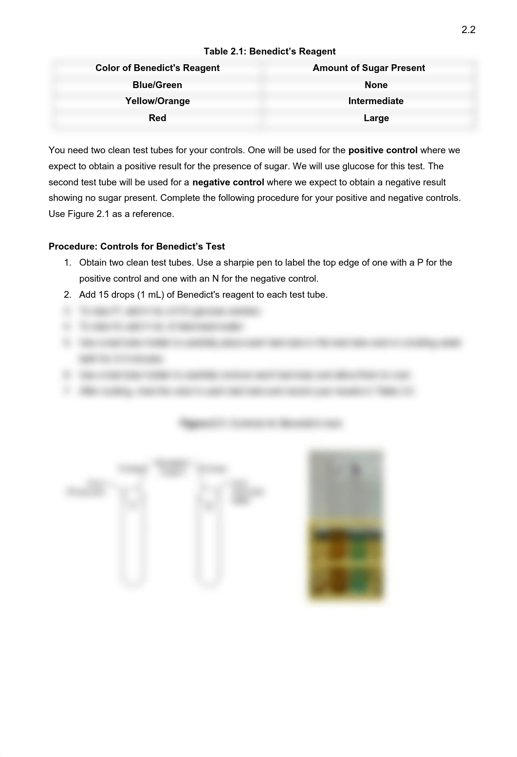 Lab02 F20 (fillable) (1).pdf_d7oaen3y3vh_page2