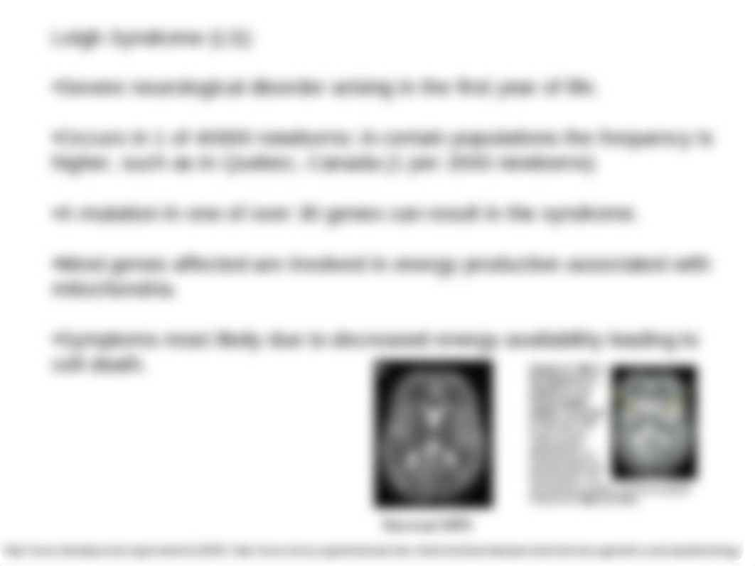 Leigh Syndrome.ppt_d7oddliacap_page2