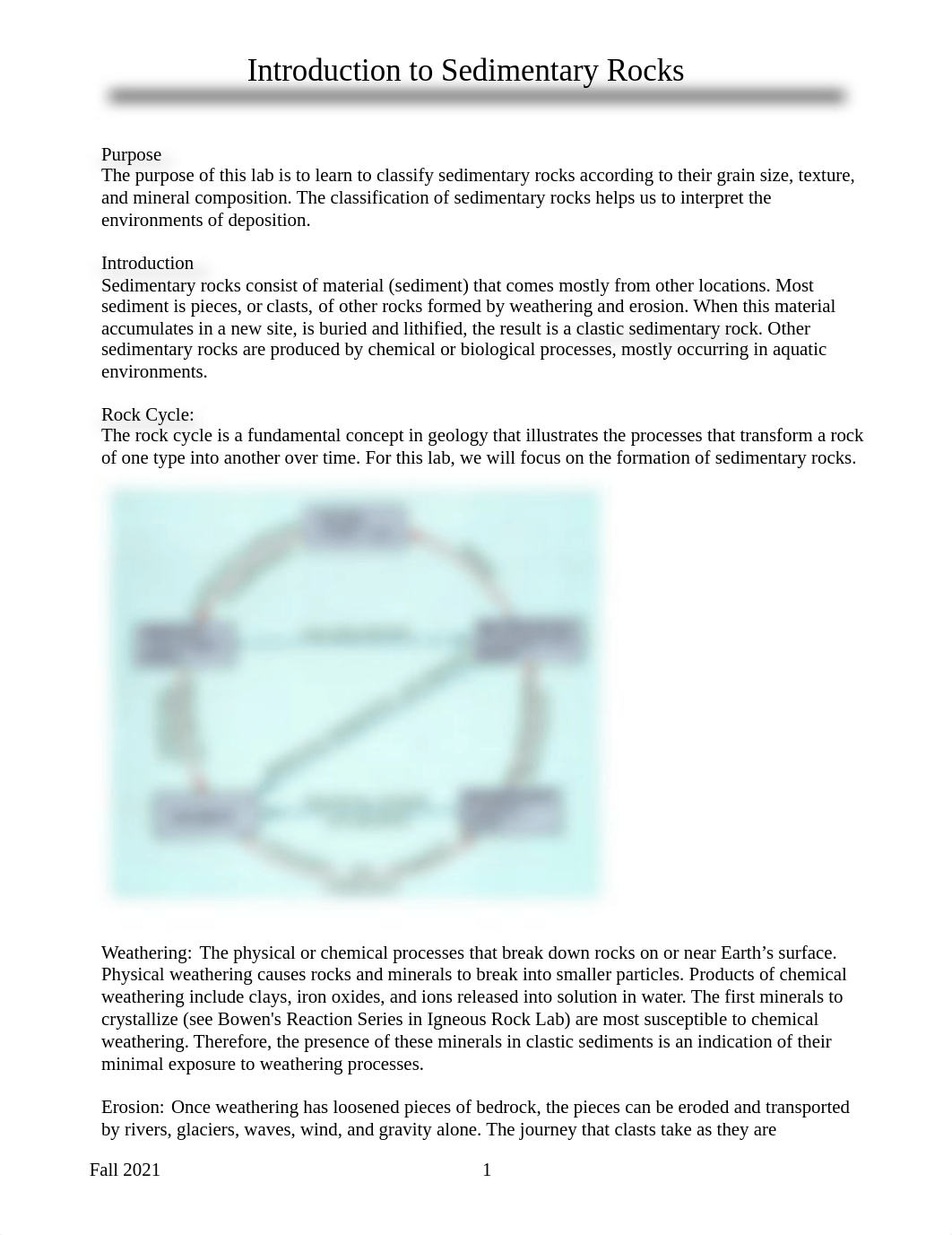 Lab 3 - Sedimentary Rocks.pdf_d7oh2z58tpr_page1