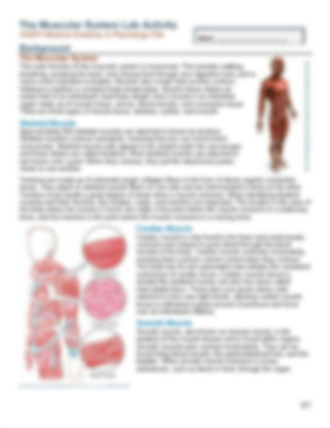 Muscles Lab.pdf_d7ojpwuh2a1_page1