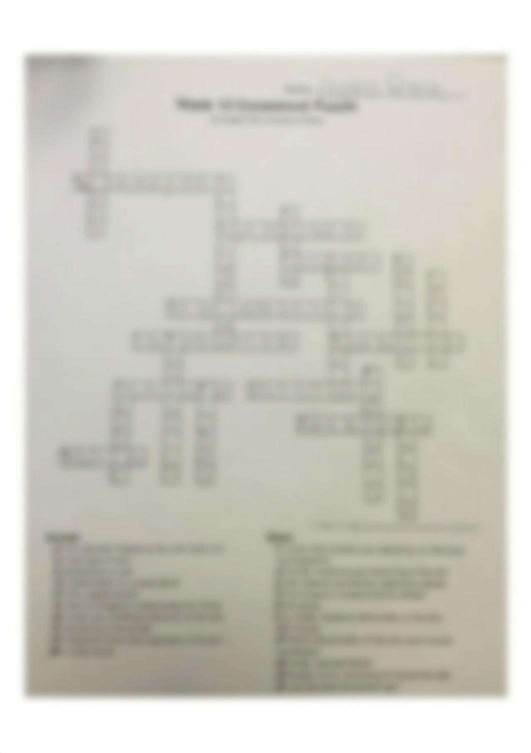 Week 13 crossword puzzle.jpg_d7orz45f6jt_page1