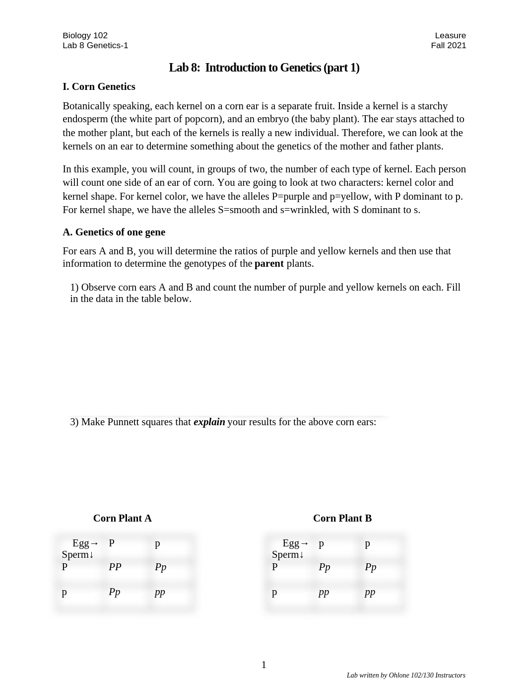 Lab 8 Fall 2021 - Word (1).docx_d7oume2s56p_page1