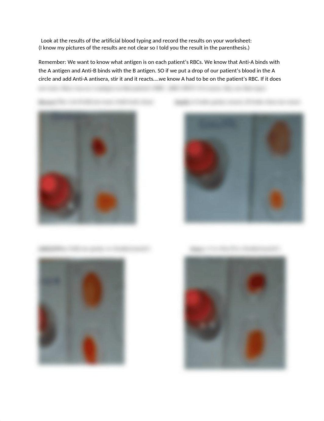 blood typing results explained.doc_d7ouolsn382_page1