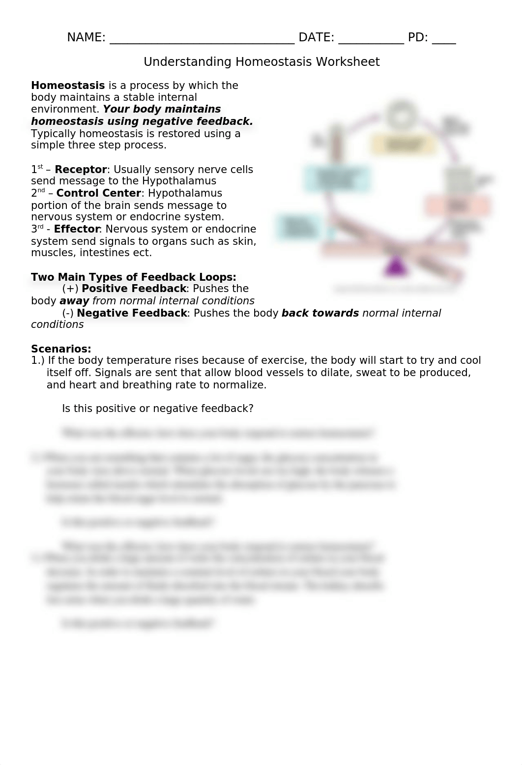 Understanding Homeostasis Worksheet.docx_d7p1nxa7tuc_page1