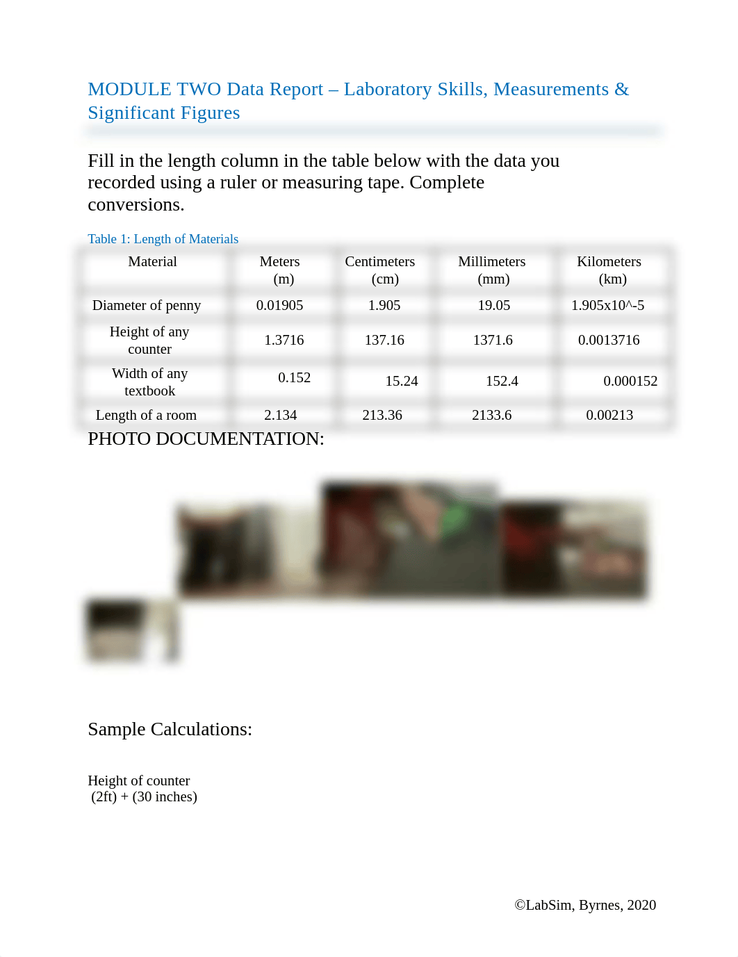 Module 2 - Lab Skills Measurements and SF - blank(1).docx_d7p7uy4ztf3_page1