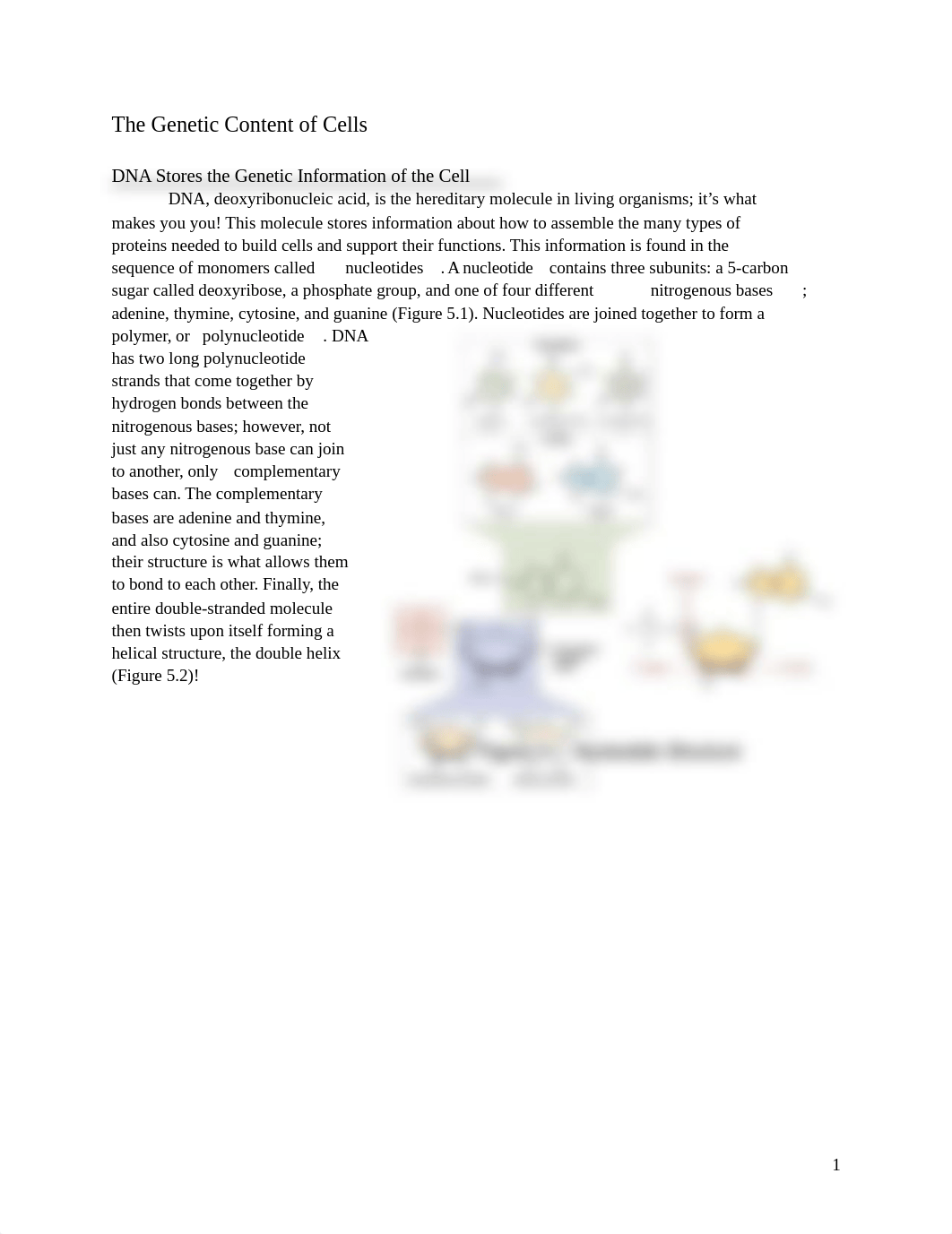 Lab DNA and Chromosomes Bio.pdf_d7pk4m6nn9w_page1