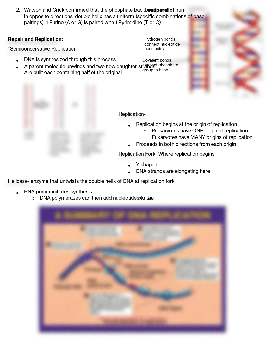 BIO Exam 3 - Study Guide 2_d7q0mqcx20c_page2