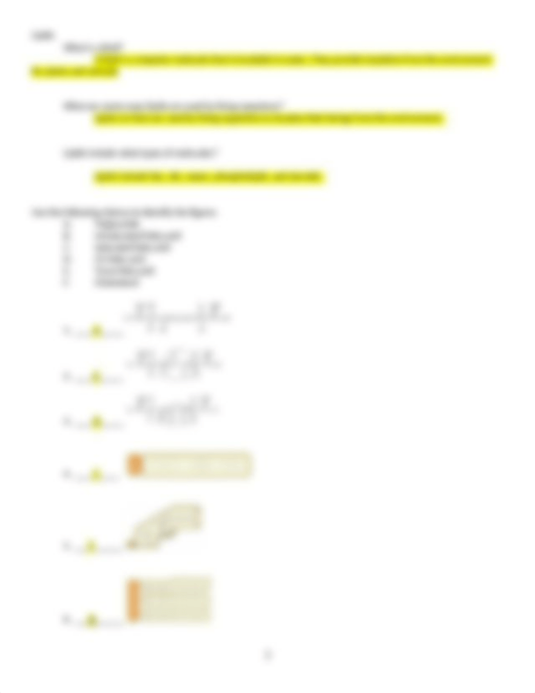 Chapter 2B Worksheet OpenStax (1).docx_d7q2nts5vkd_page2