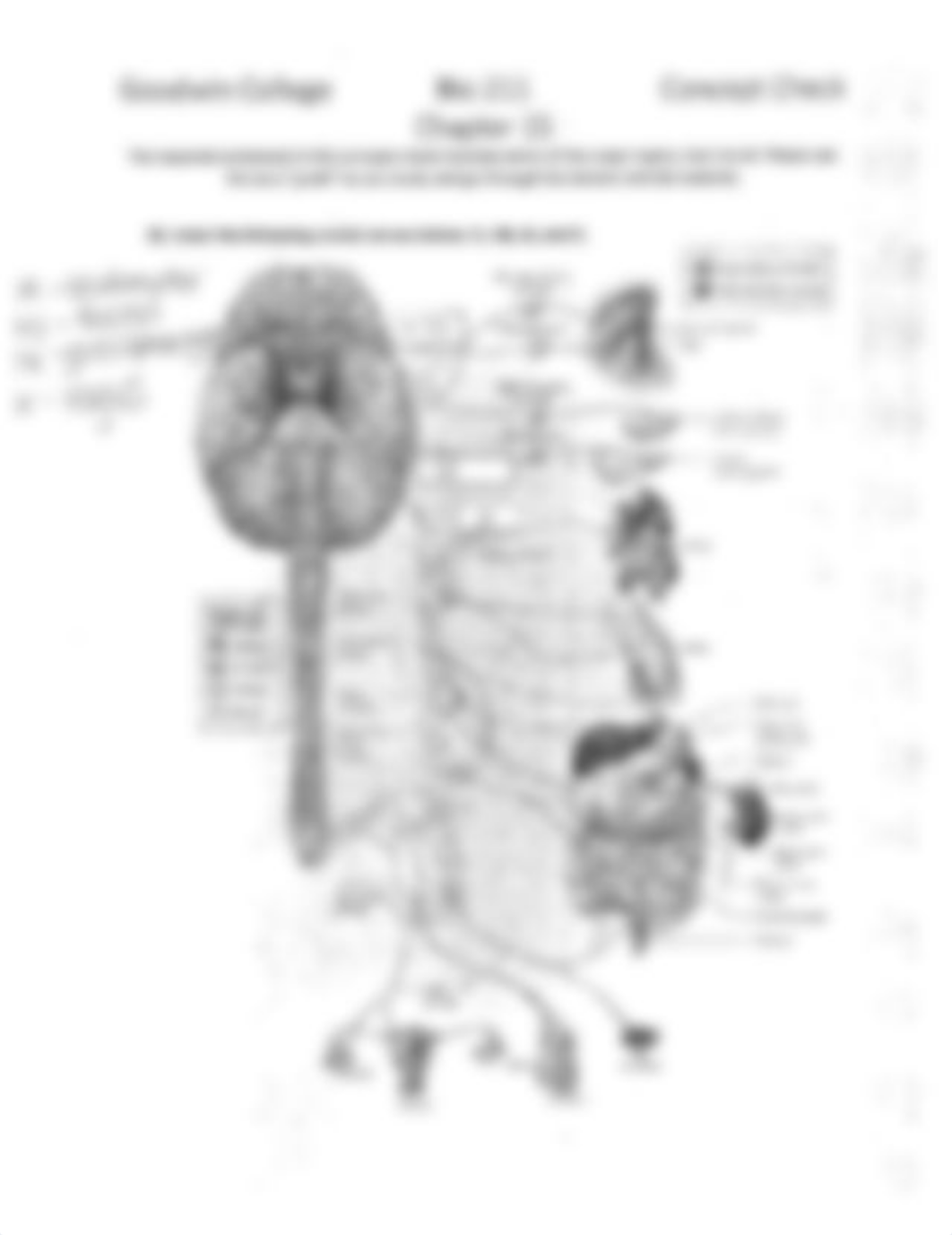 Concept Check 15 Bio 211.pdf_d7q2wijbevn_page3